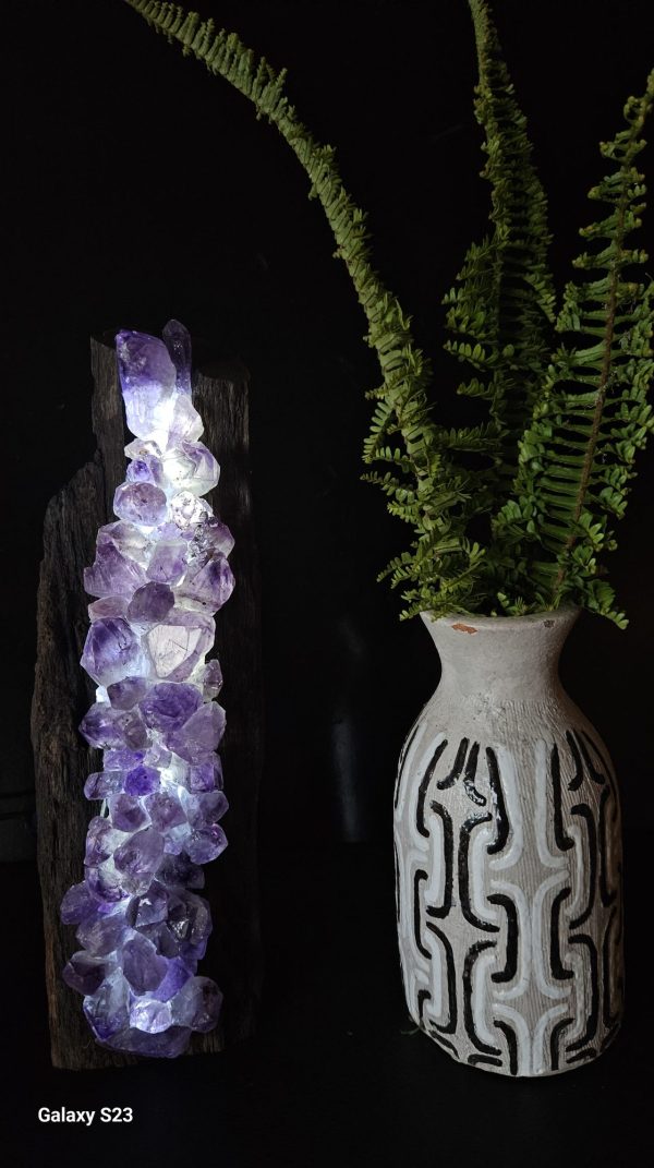 ammy 003 - Image 2